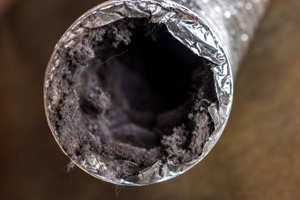 Best Dryer Vent Cleaning Services  in Wahpeton, ND