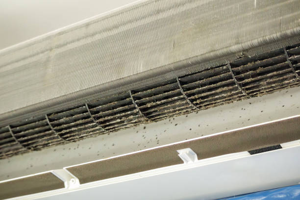 Best Air Duct Inspection  in Wahpeton, ND