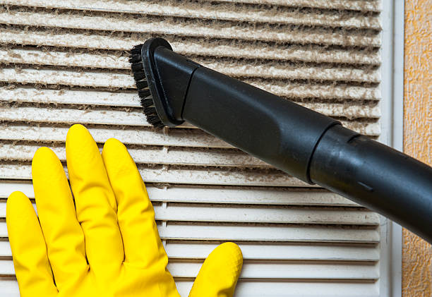 Best Air Duct Mold Removal  in Wahpeton, ND